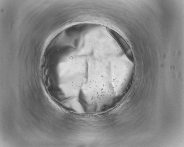 X0000059801536200511111548