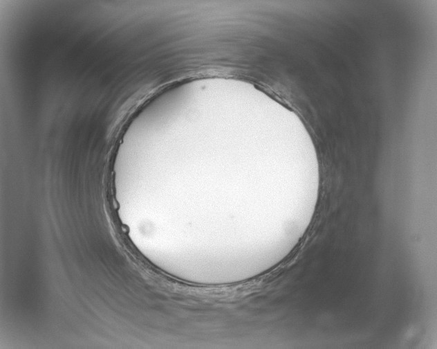 X0000059800001200511181527