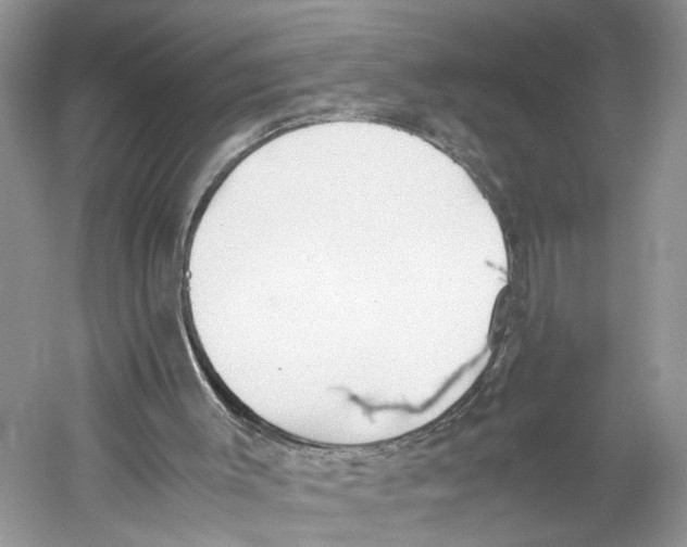 X0000059800003200511181527