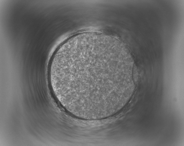 X0000059800006200511181527