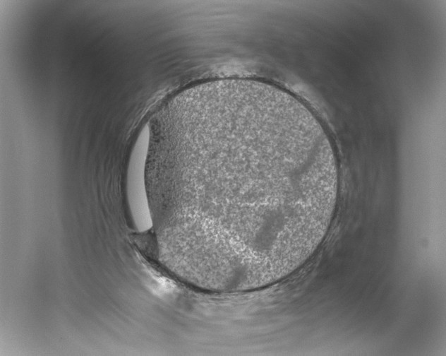 X0000059800009200511181526