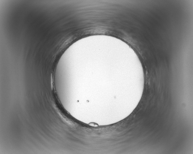 X0000059800013200511181526