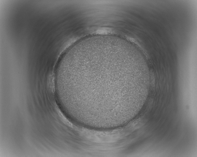 X0000059800016200511181526