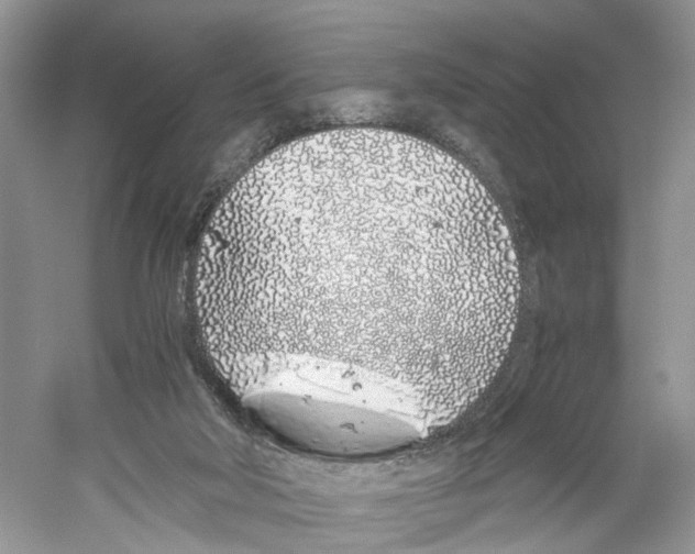 X0000059800018200511181526