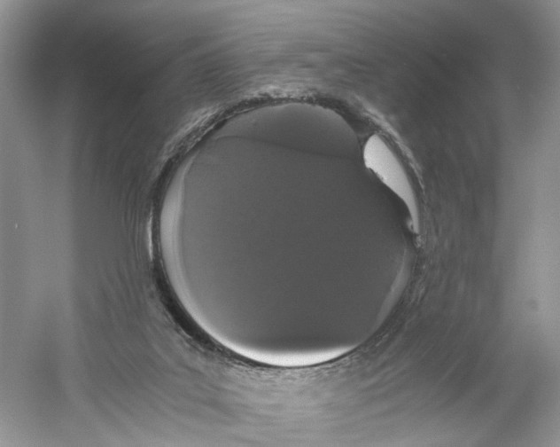 X0000059800019200511181526