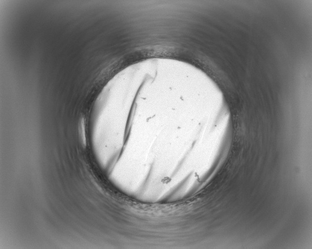 X0000059800022200511181526