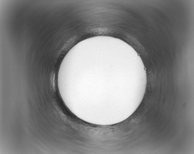 X0000059800024200511181526