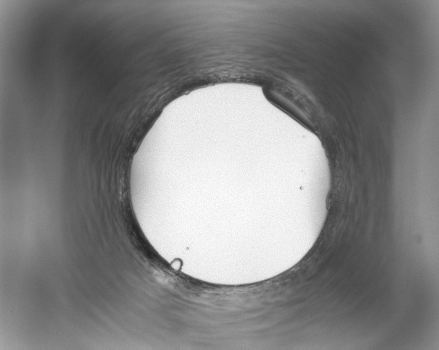 X0000059800025200511181526