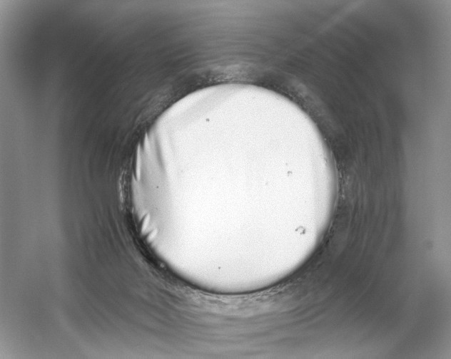 X0000059800026200511181526