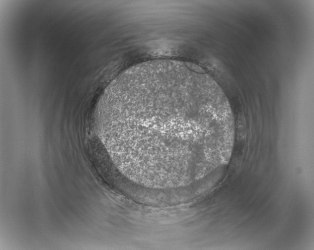 X0000059800029200511181526