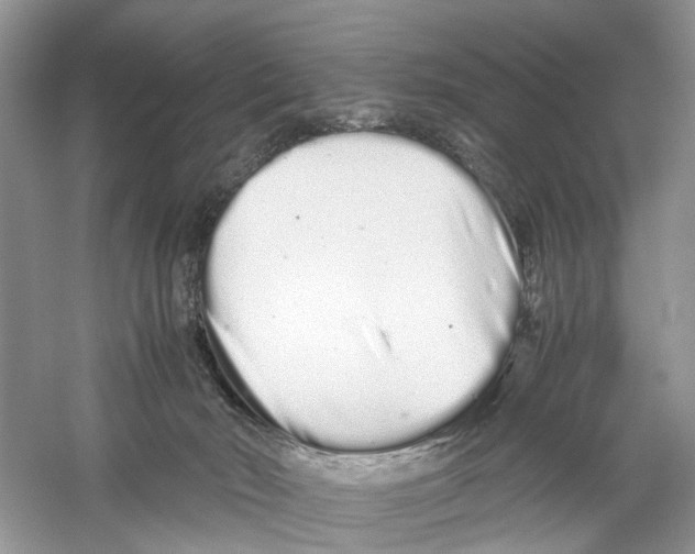 X0000059800030200511181526