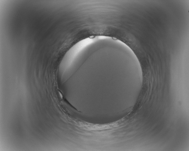 X0000059800031200511181526