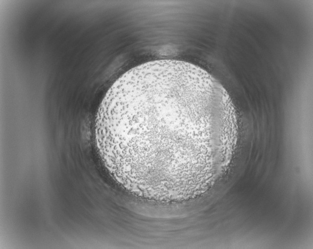 X0000059800032200511181526