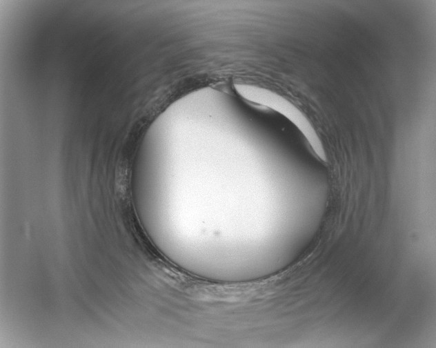 X0000059800033200511181526