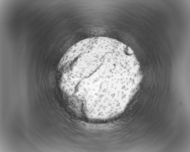 X0000059800034200511181526