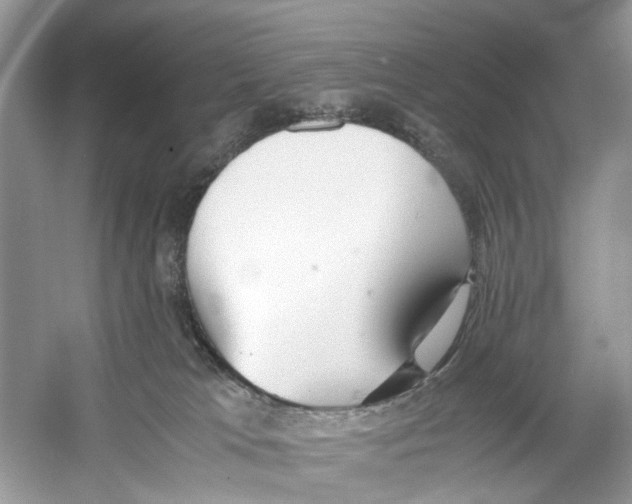 X0000059800037200511181526