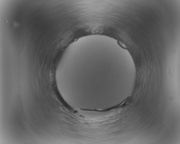 X0000059800039200511181526