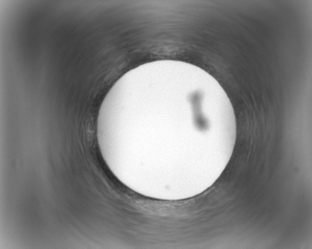 X0000059800040200511181526