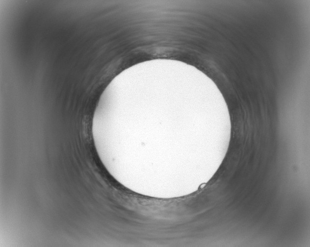 X0000059800044200511181526