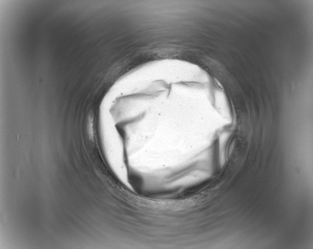 X0000059800046200511181526