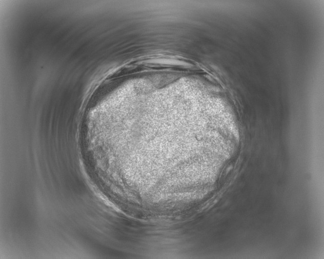 X0000059800049200511181525