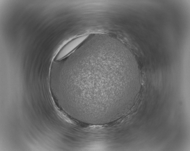 X0000059800052200511181525