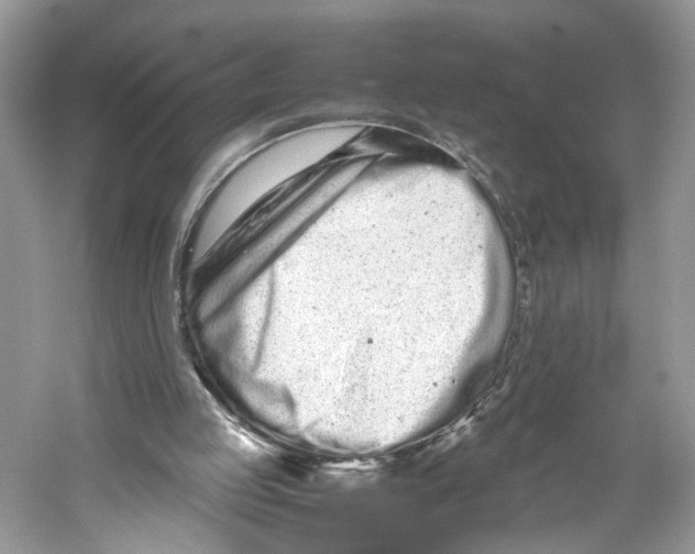 X0000059800053200511181525