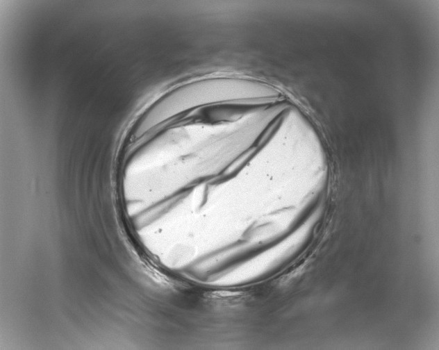 X0000059800055200511181525