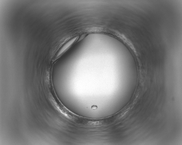 X0000059800057200511181525