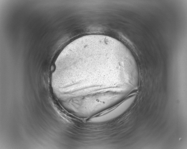 X0000059800059200511181525