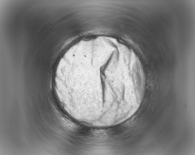 X0000059800062200511181525