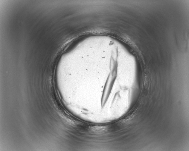 X0000059800063200511181525