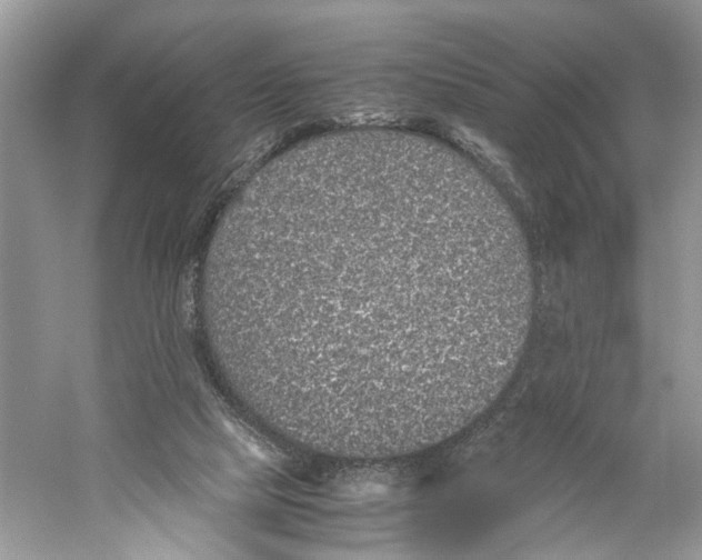 X0000059800065200511181525