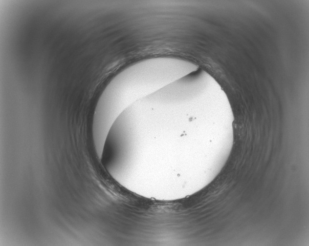 X0000059800072200511181525