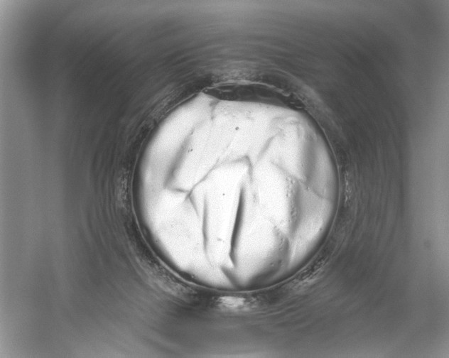 X0000059800073200511181525