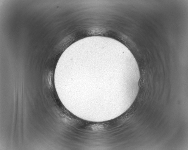 X0000059800075200511181525