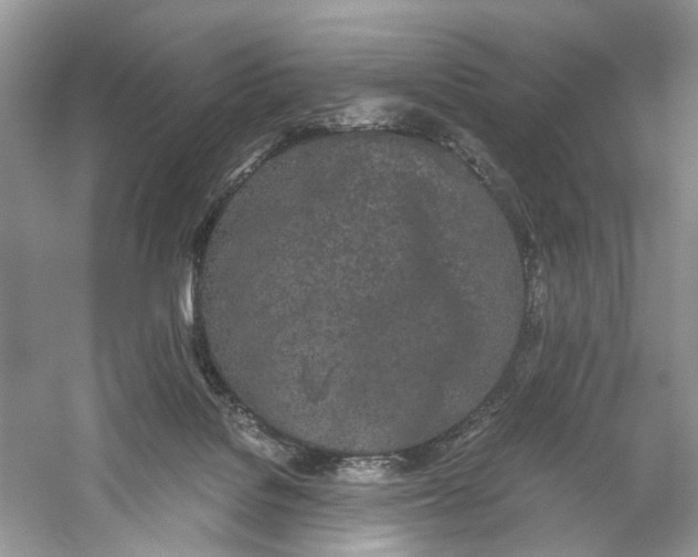 X0000059800076200511181525