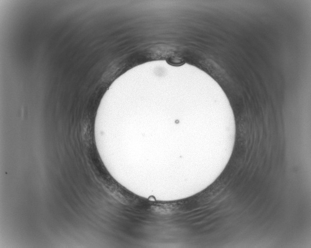 X0000059800079200511181525