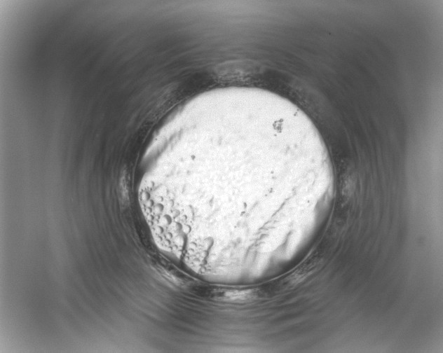 X0000059800081200511181526