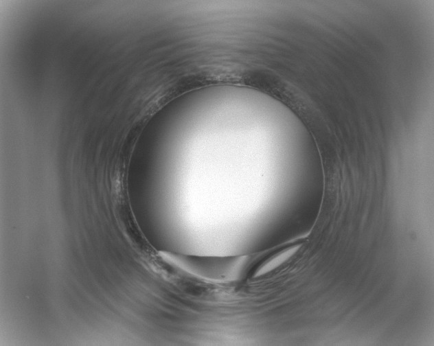 X0000059800084200511181526