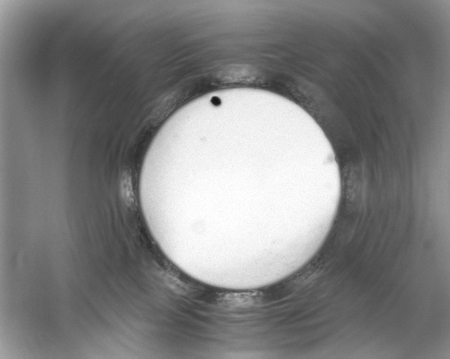 X0000059800089200511181526