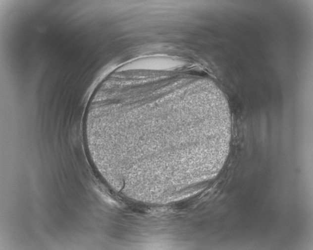 X0000059800099200511181525