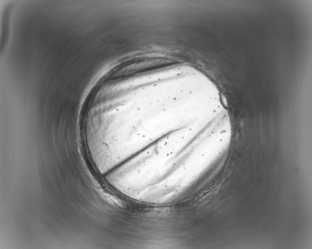 X0000059800102200511181525