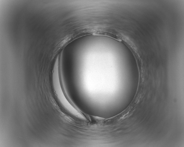 X0000059800105200511181525