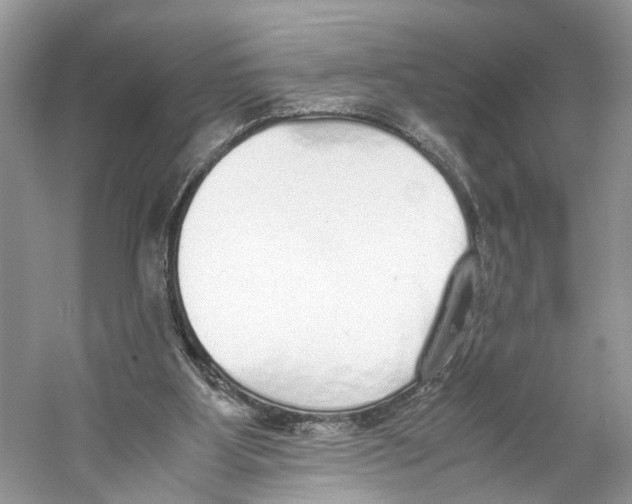 X0000059800107200511181525