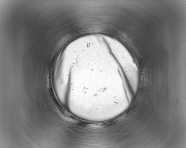 X0000059800110200511181525