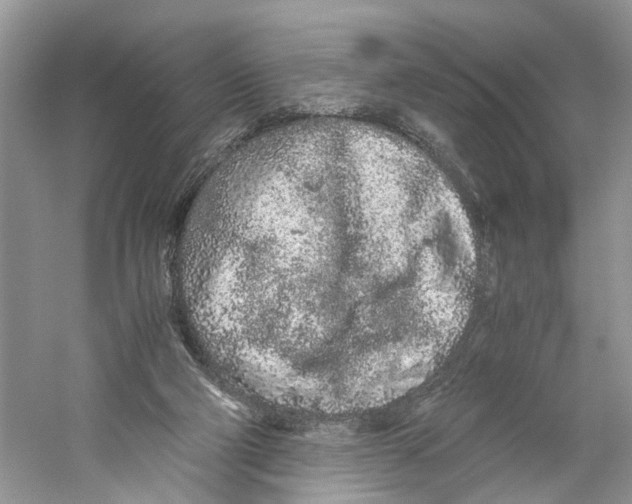 X0000059800114200511181525