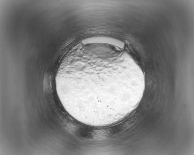 X0000059800115200511181525