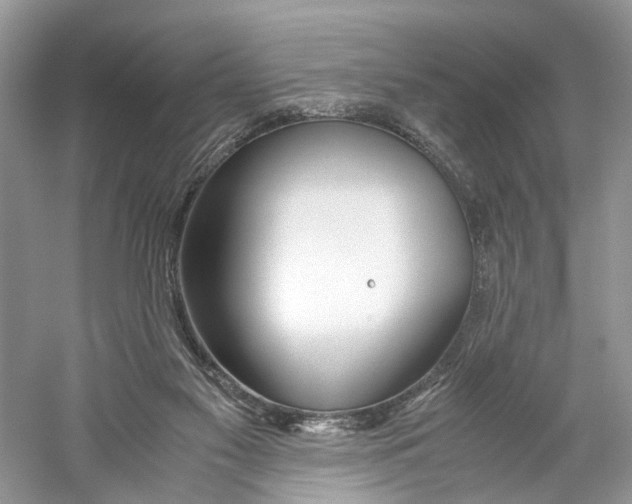 X0000059800117200511181525