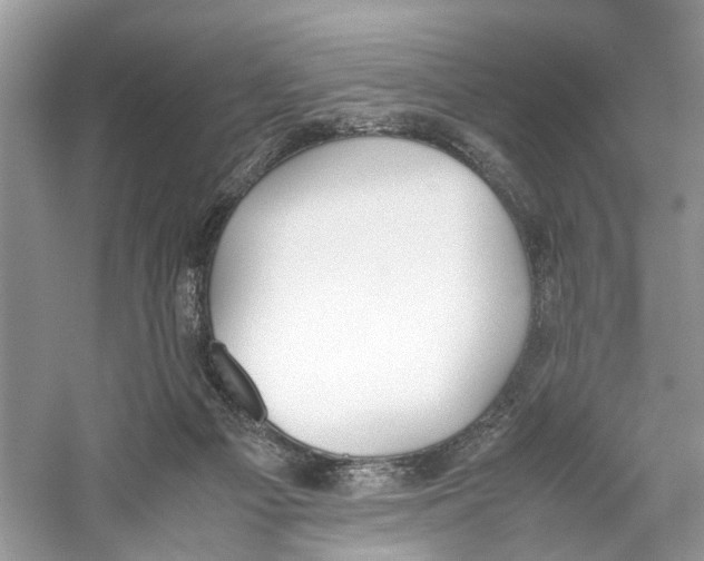 X0000059800121200511181525